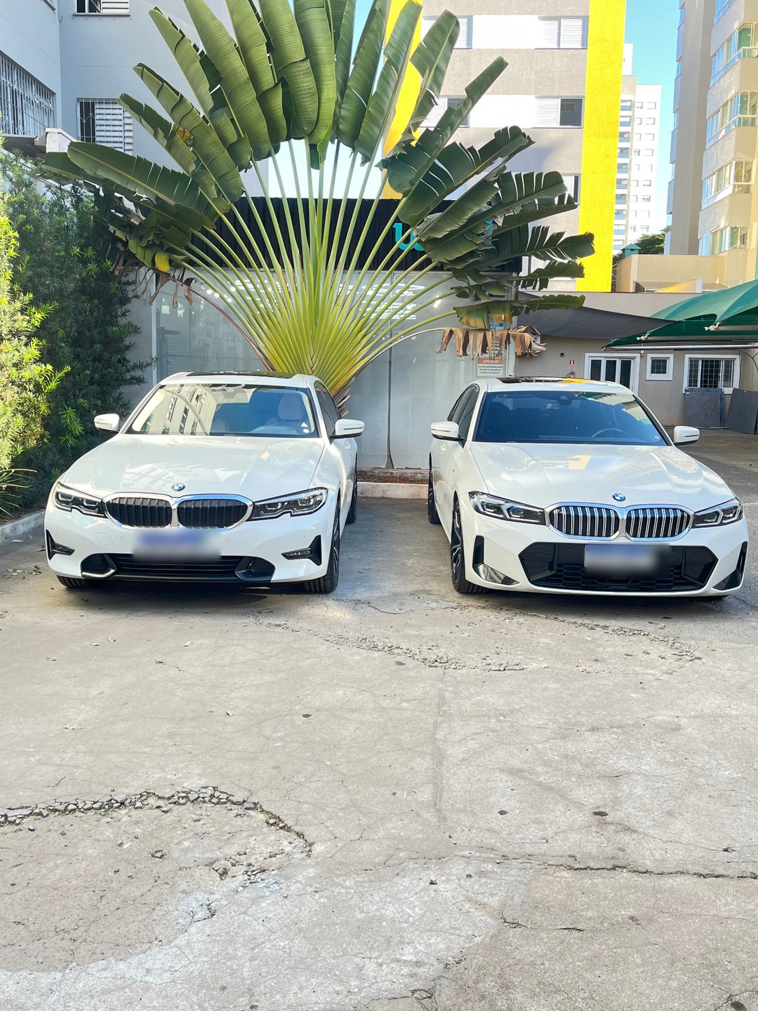 BMW 320i e 330i limpas